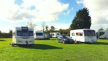 A grassy field with several RVs parked.