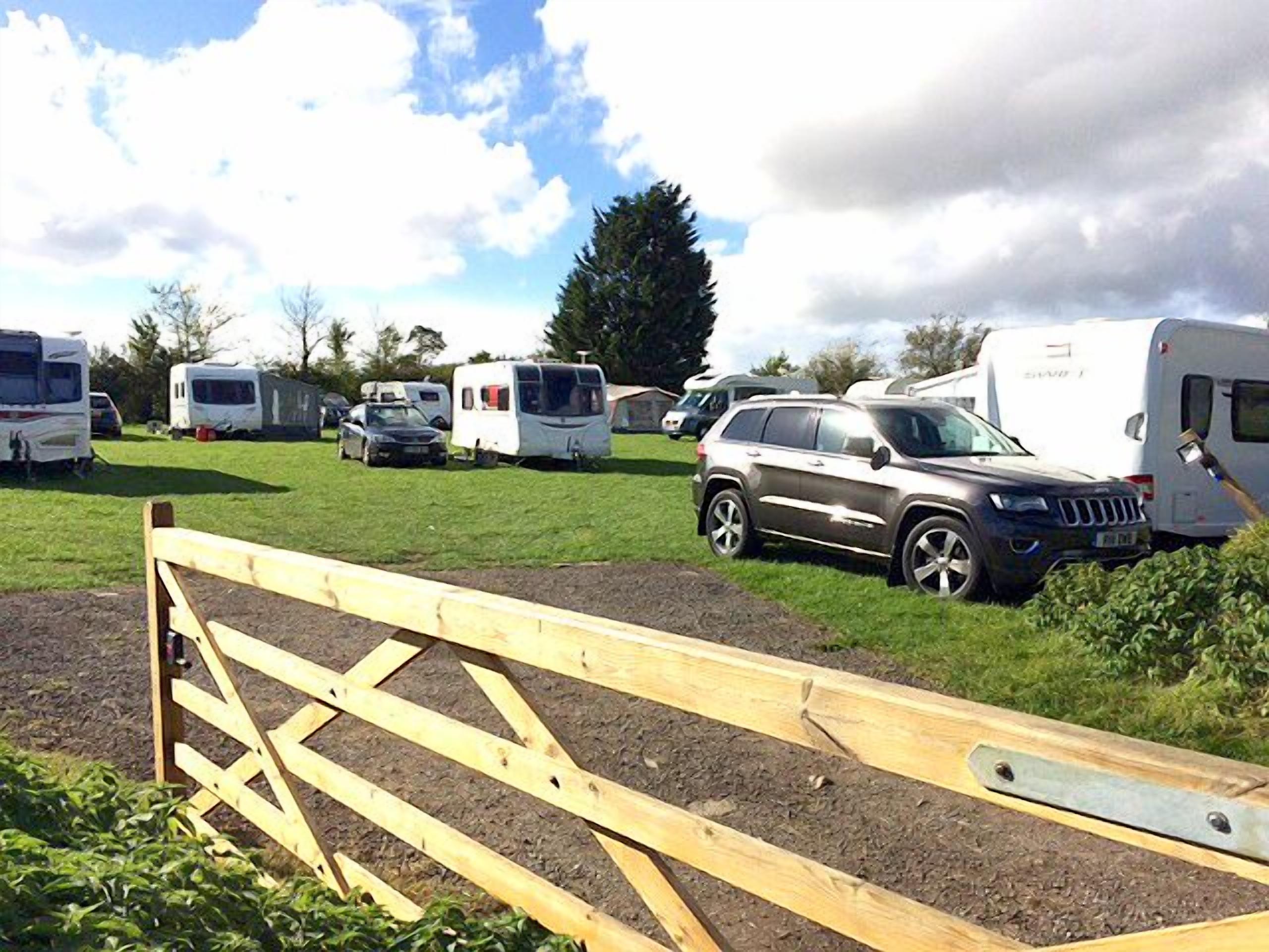 A campsite with RVs and SUVs parked on grass.