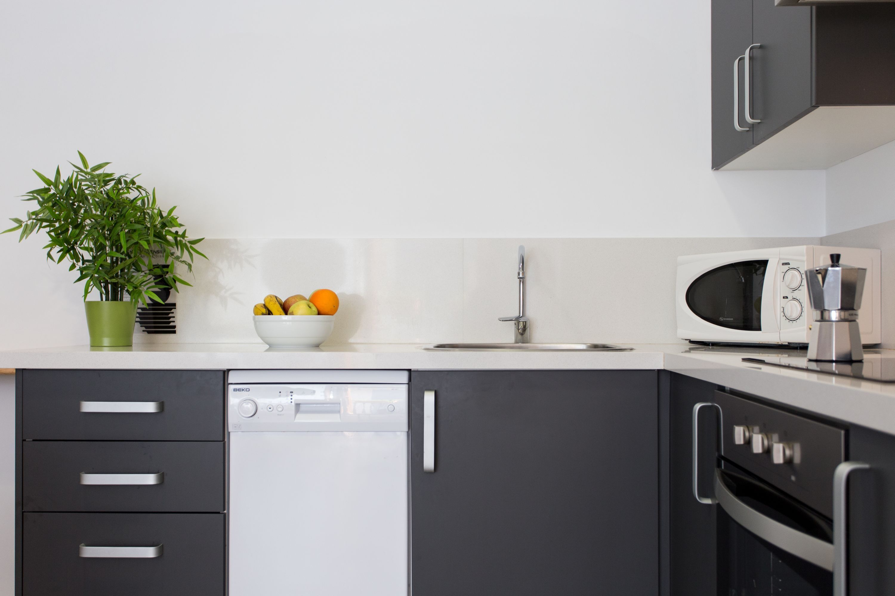 Full-size fridge, microwave, oven, stovetop