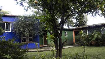 Habitación estándar | Vista al jardín