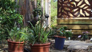 A garden with potted plants and a decorative fence.