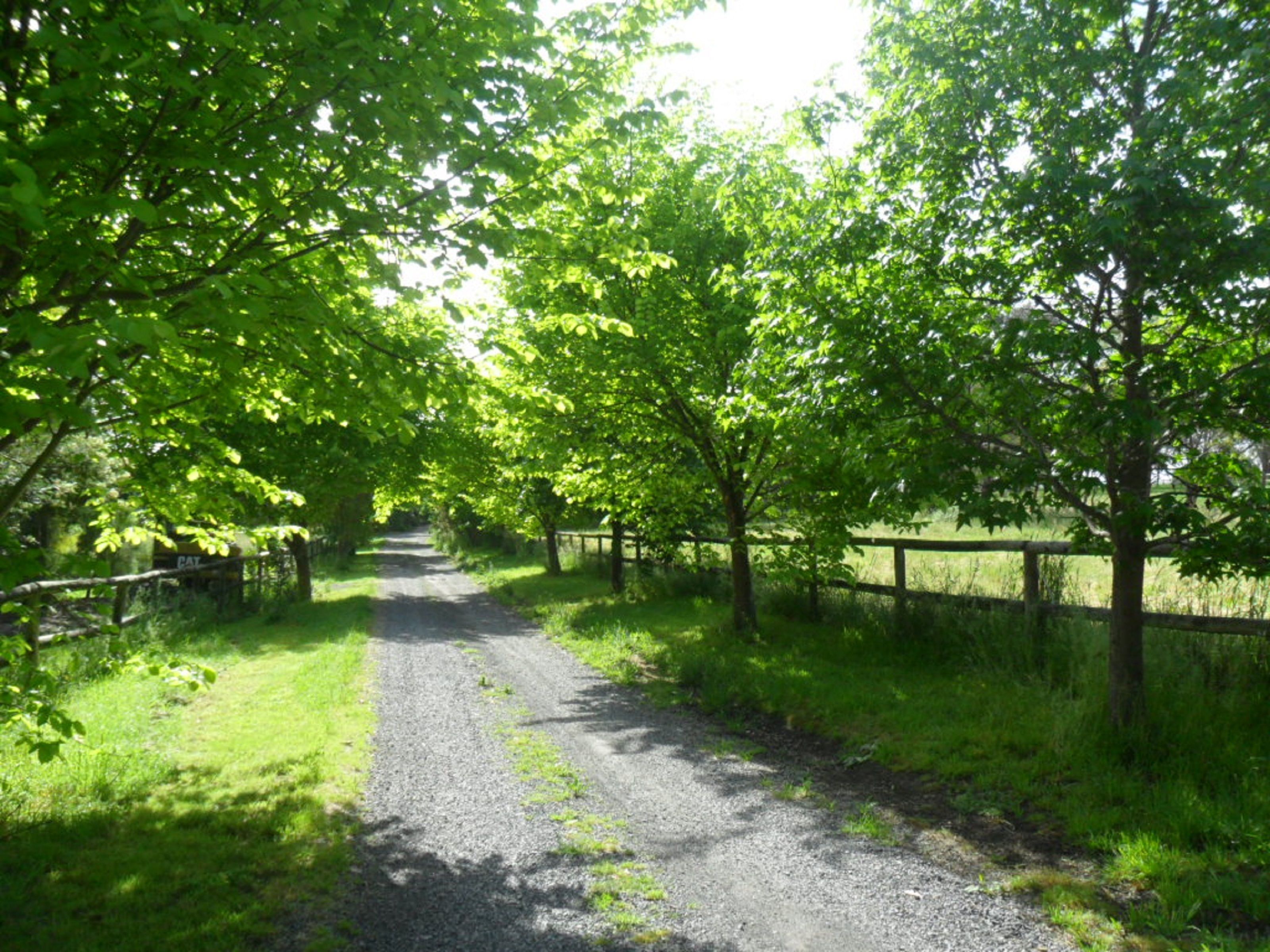 مدخل المنشأة