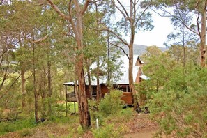 A wooden cabin surrounded by dense forest.