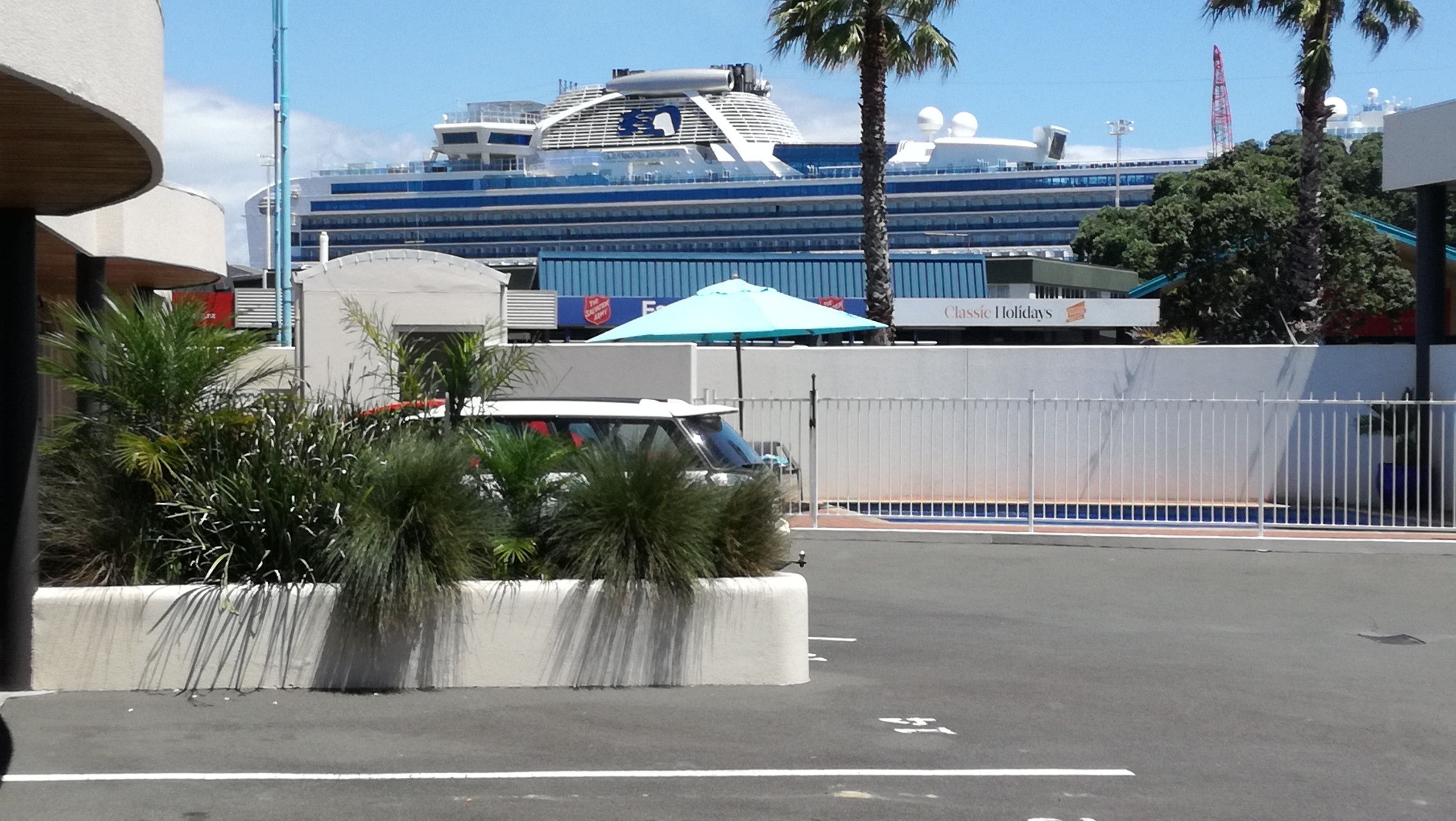 A cruise ship docked at a port with a fenced area and palm trees in the foreground.