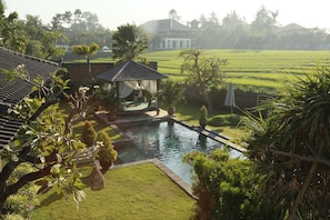 Une maison traditionnelle avec une piscine, entourée d’une végétation luxuriante et d’un champ de riz.