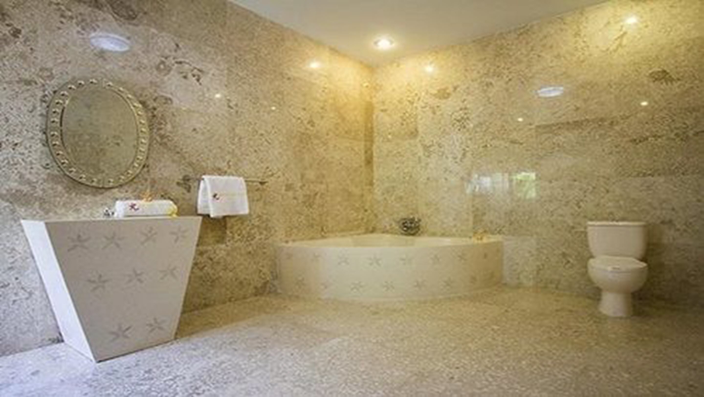 separate bathtub and shower, free toiletries, hair dryer, bathrobes