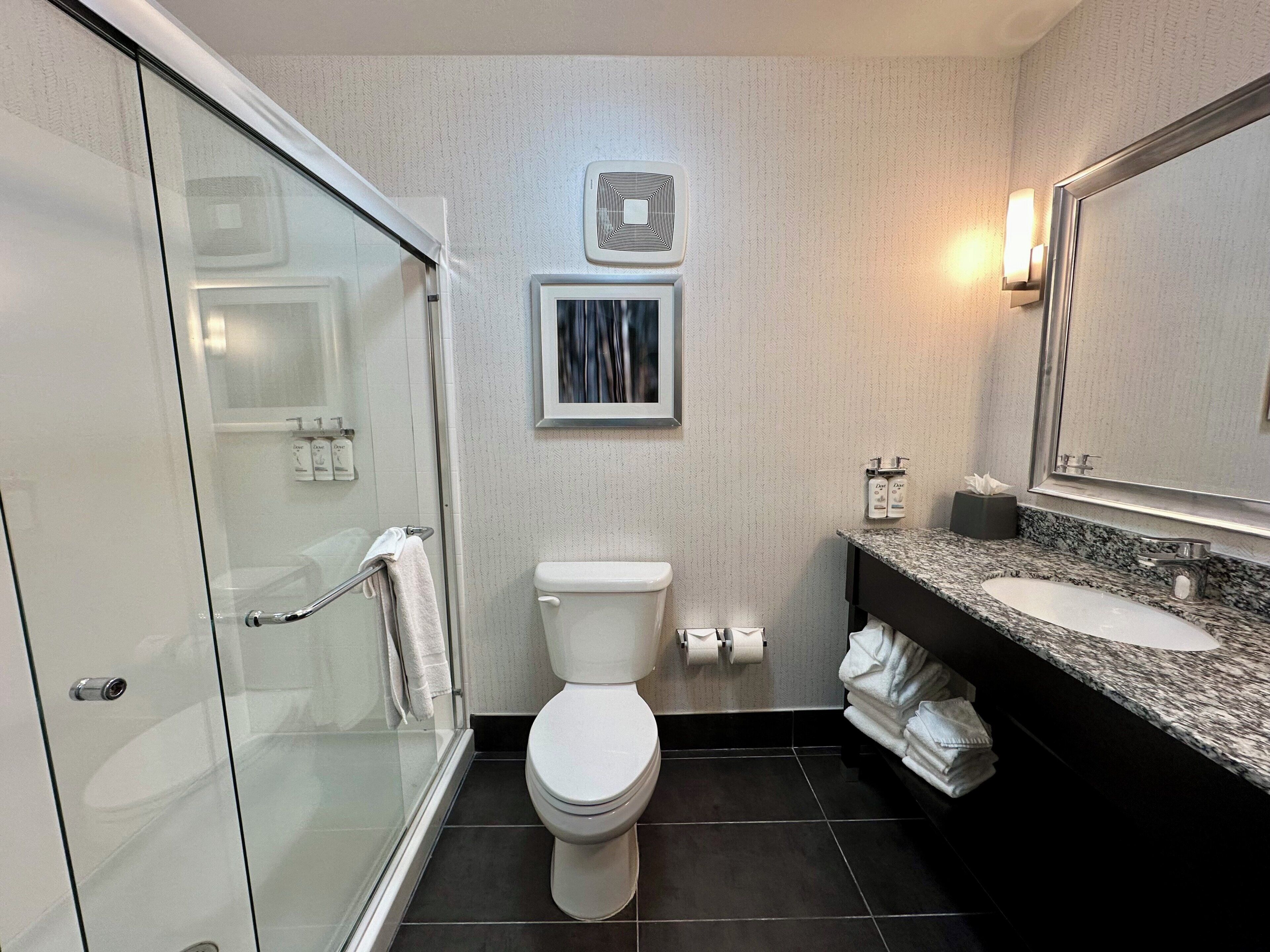 Une salle de bain moderne avec une douche à parois de verre, des toilettes, un lavabo doté d’un plan de travail en granit et un grand miroir.