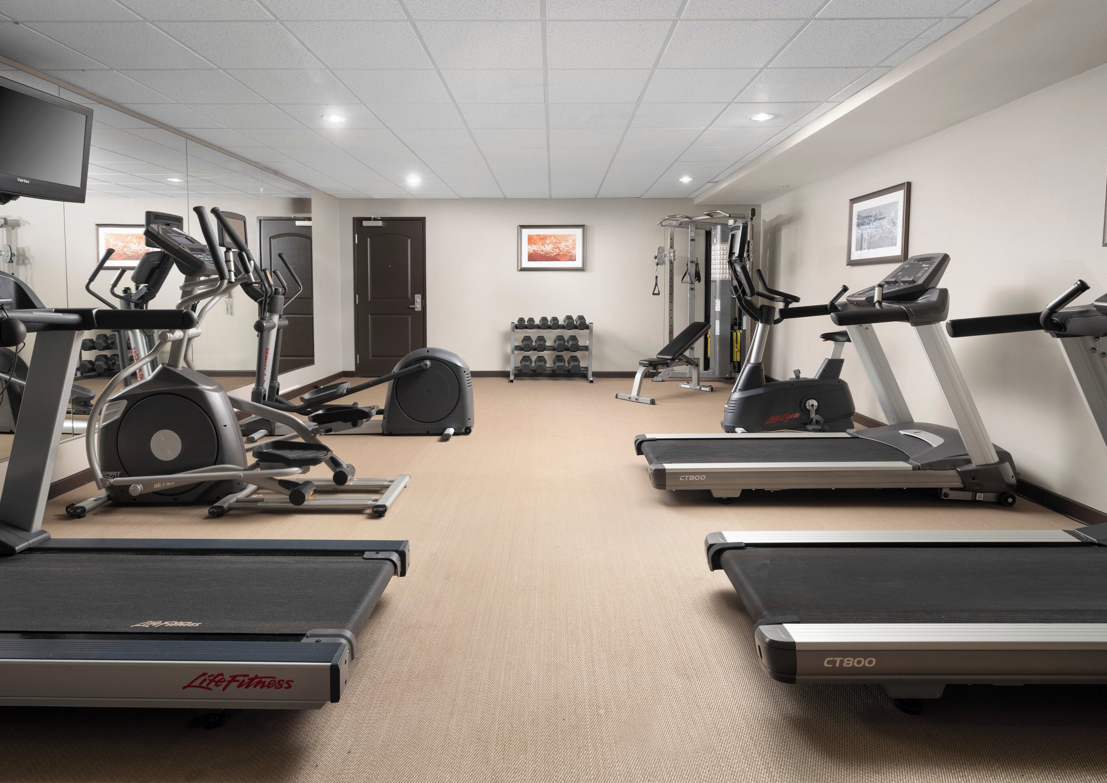 Un gimnasio con cintas de correr, elípticas y máquinas de pesas.