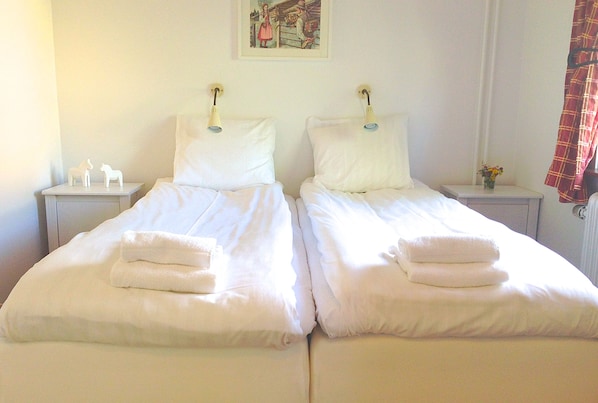 Iron/ironing board, free cots/infant beds, rollaway beds, free WiFi