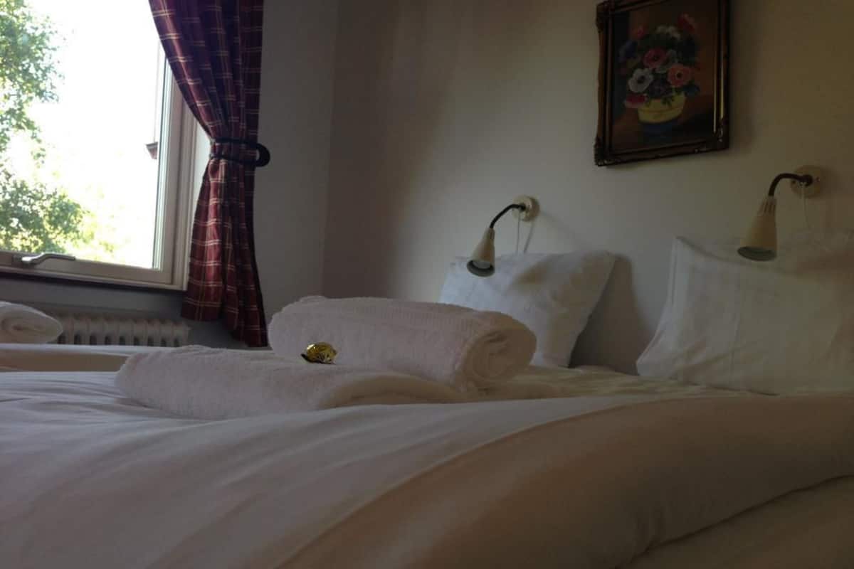 Iron/ironing board, free cots/infant beds, rollaway beds, free WiFi