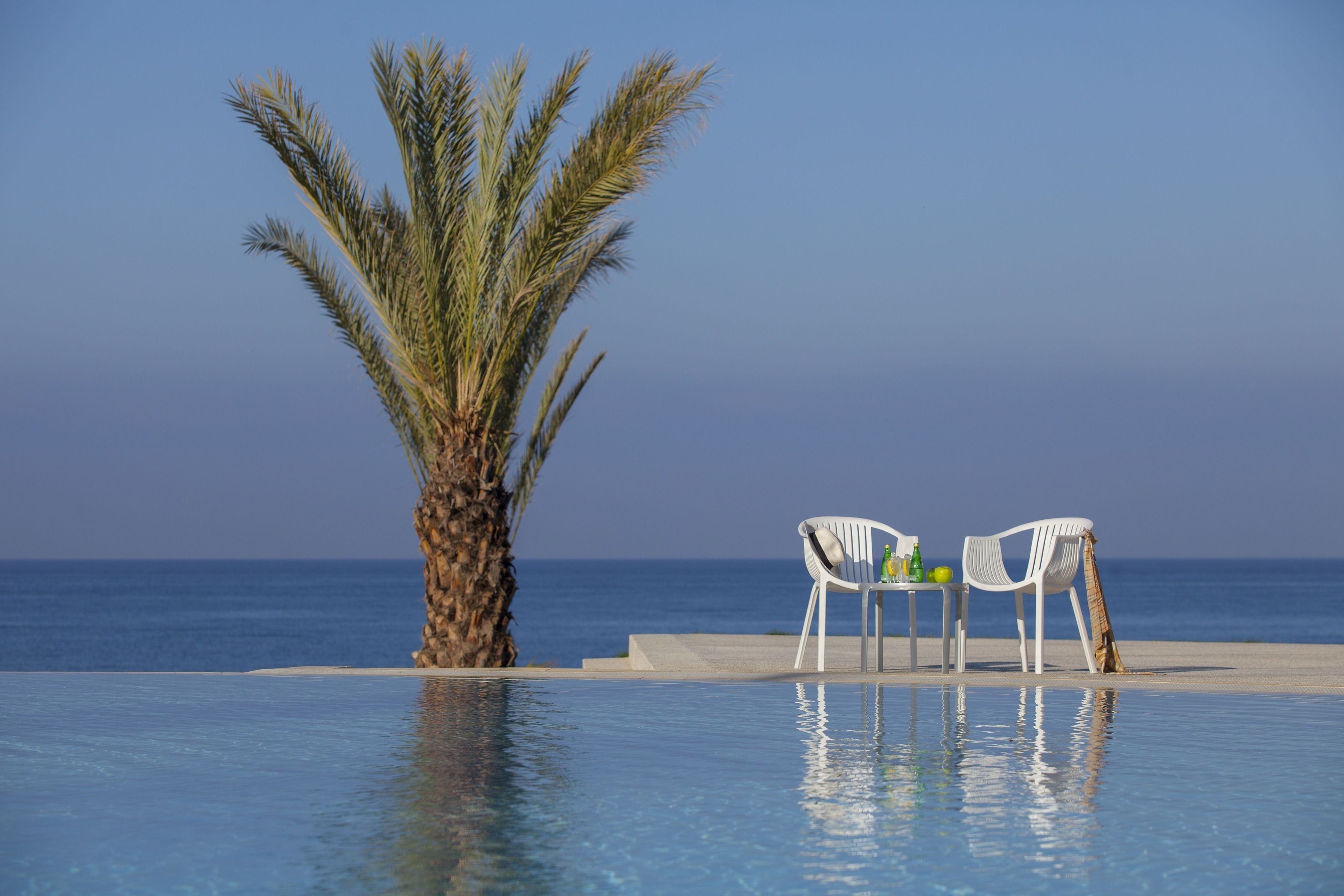 An infinity pool with a palm tree and two white chairs facing the ocean.