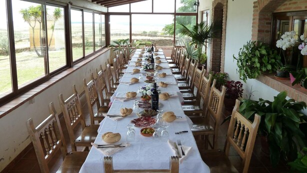 Una larga mesa de comedor preparada para una comida, con sillas, una pared de ladrillo y plantas en macetas.