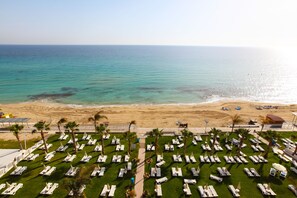 A beach resort with rows of sun loungers and palm trees, a sandy beach, and the ocean in the background. - Constantinos The Great Beach Hotel (Paralimni)