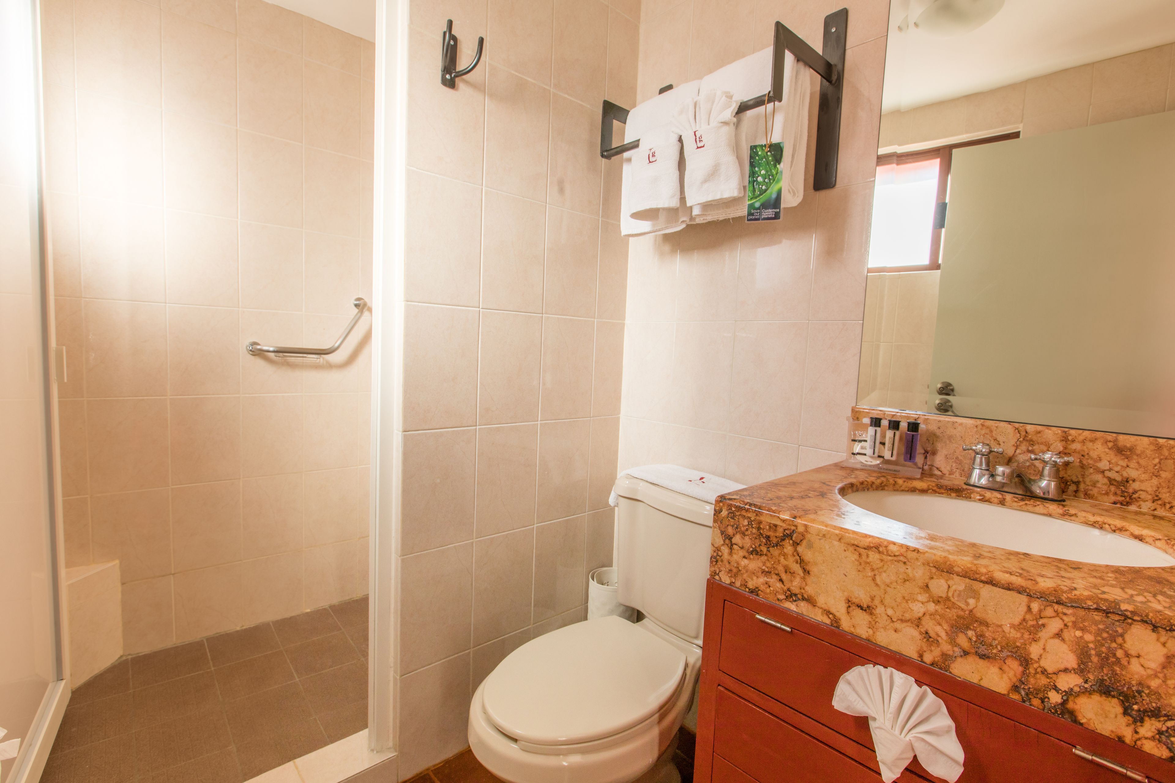 shower, free toiletries, hair dryer, towels