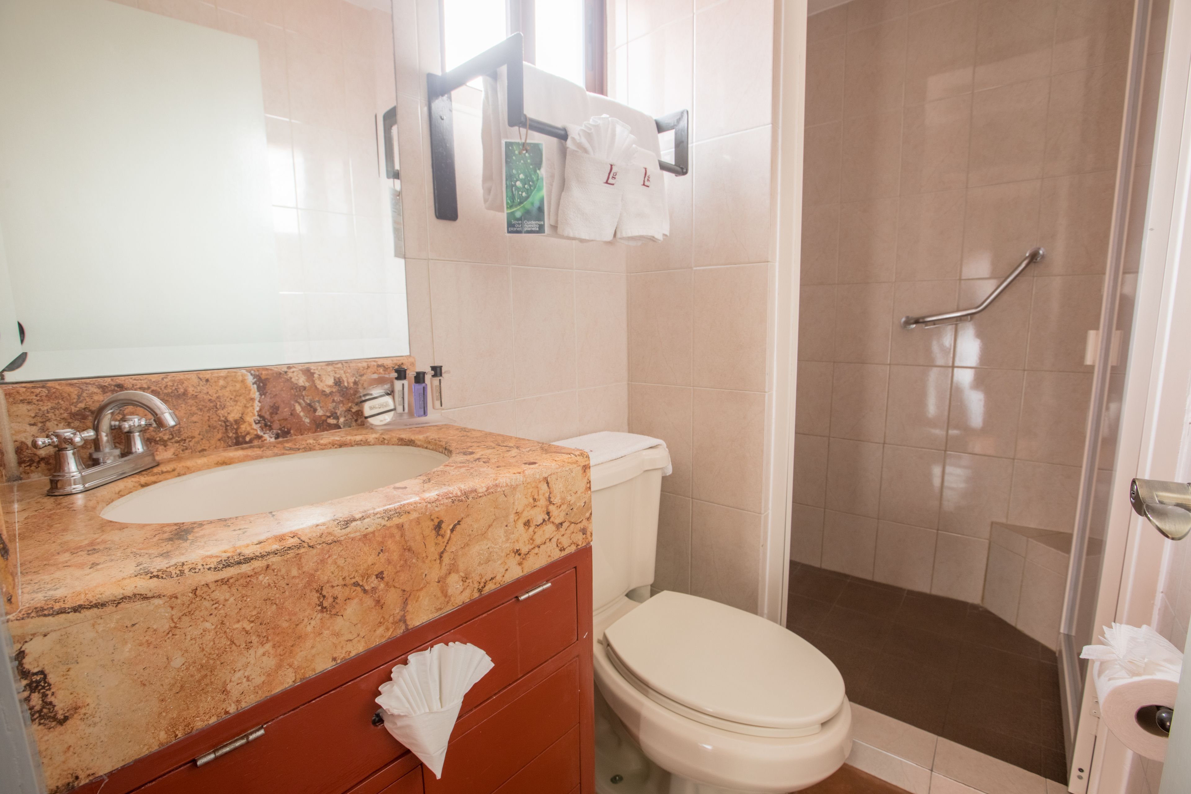 shower, free toiletries, hair dryer, towels