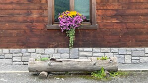 A wooden cabin with a window overlooking a forested area. - Central Rin (Livigno)