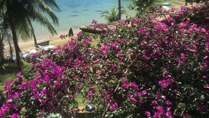 A tropical beach setting with clear blue water, palm trees, and vibrant pink bougainvillea flowers. - Pousada Portal do Sol (Angra dos Reis)