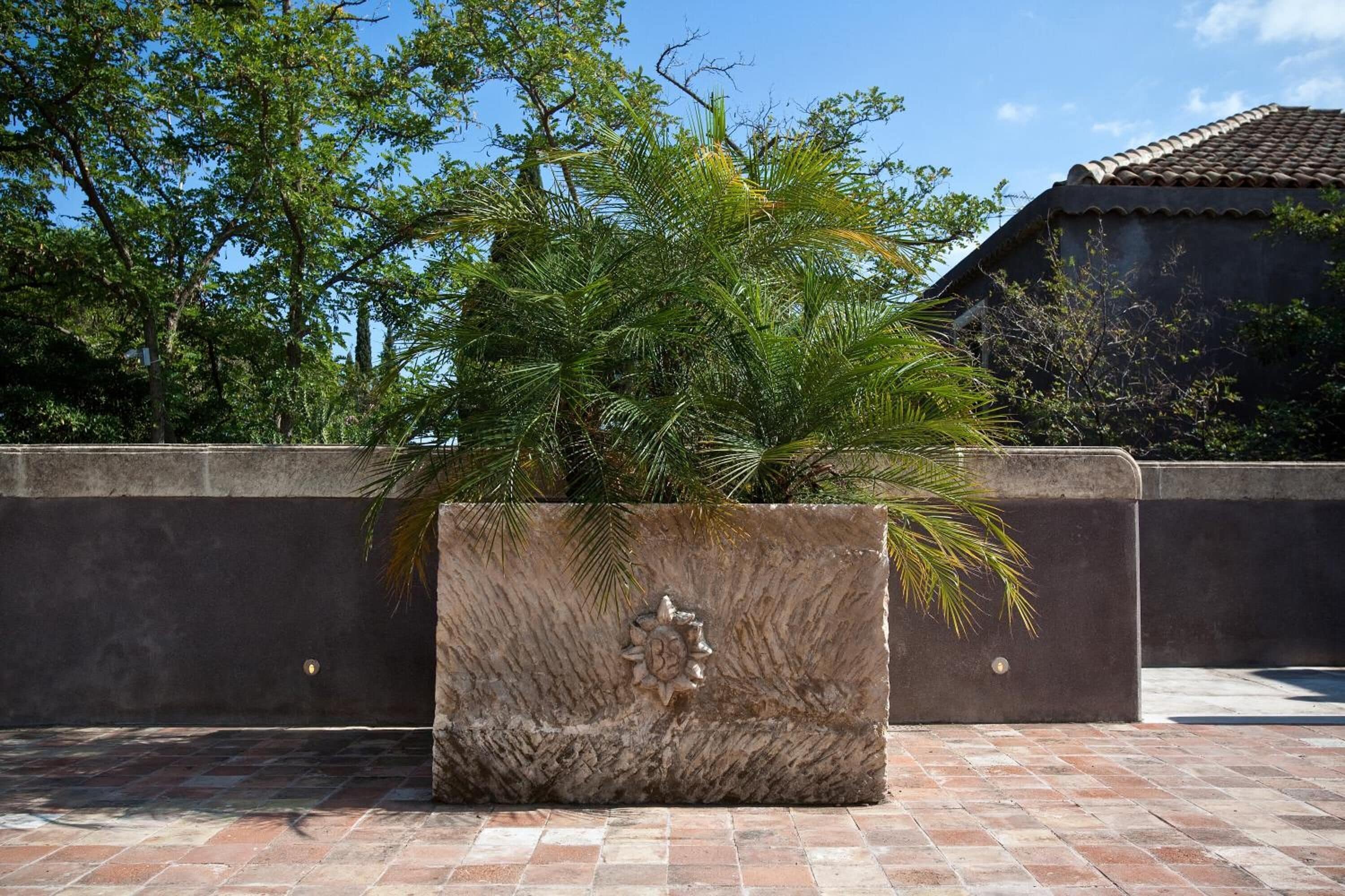 A large planter with a palm tree, a stone wall, and a building with a tiled roof in the background.