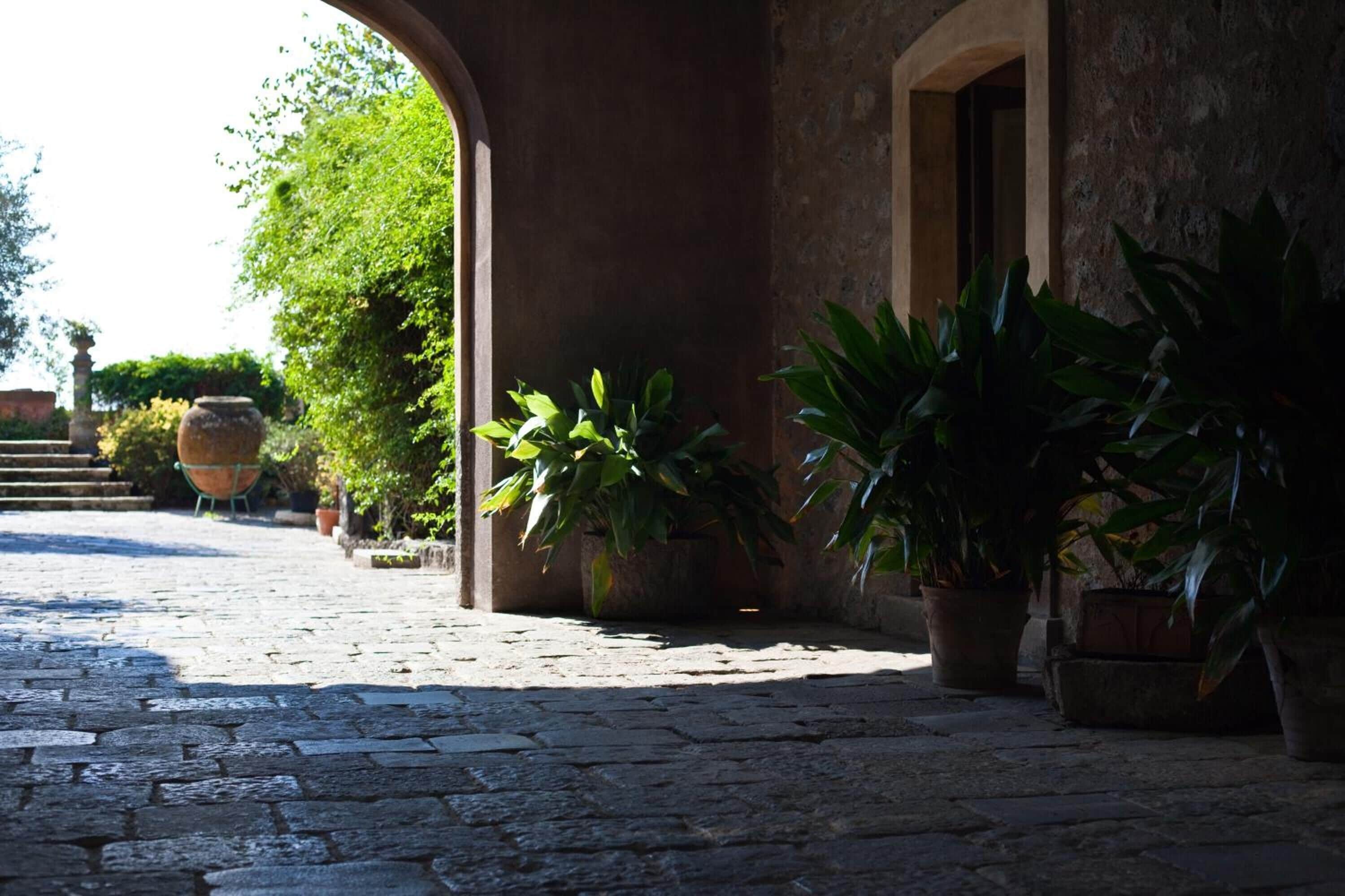 A cobblestone courtyard with potted plants and a large urn in the background.