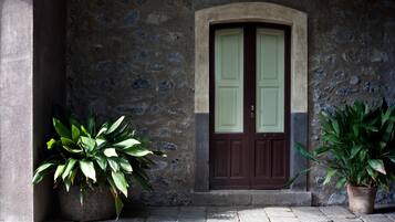 Un edificio de piedra con un acceso doble, dos plantas en macetas y suelo adoquinado.