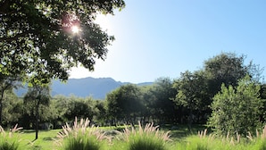 A landscaped garden with a stone wall, various trees, and grass. - Las Dalias (Las Rosas)