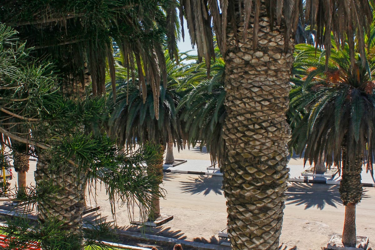 Junior-Suite | Blick vom Balkon