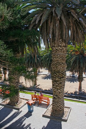 Vista del balcón