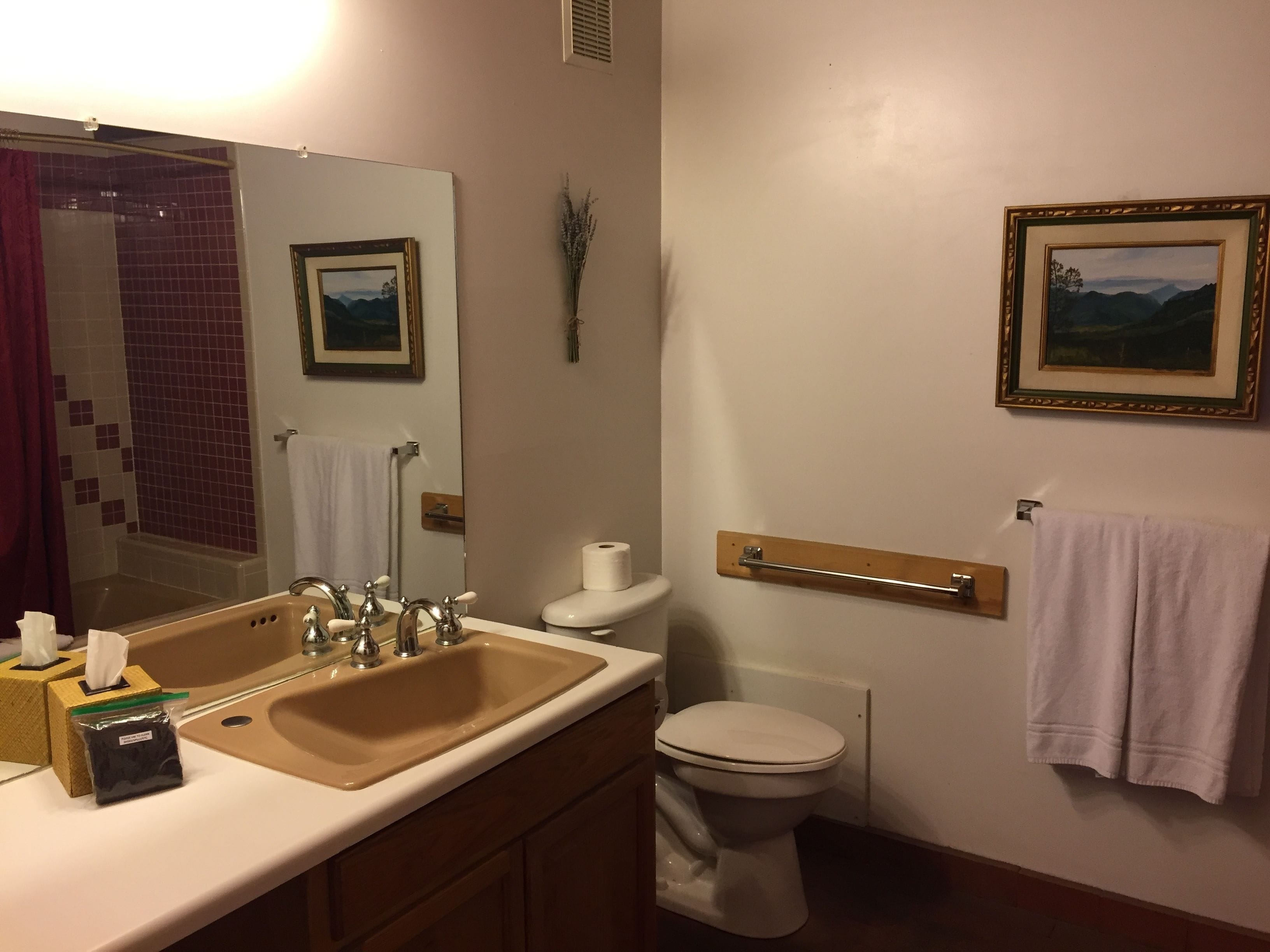 A bathroom with a sink, mirror, toilet, and towel rack.