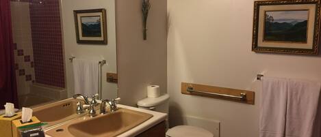 A bathroom with a sink, mirror, toilet, and towel rack.
