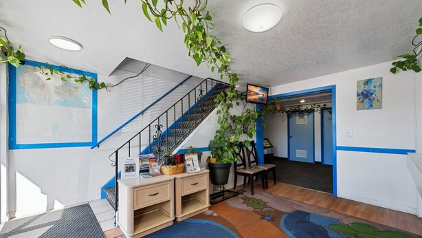 Un vestíbulo de hotel con una escalera, una recepción, un televisor y una planta grande.