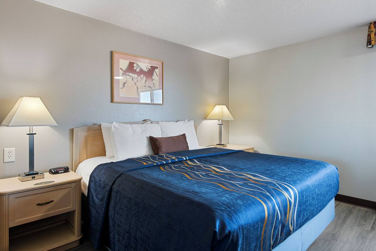 Una habitación de hotel con cama, dos mesitas de noche con lámparas, un cuadro en la pared y un enchufe a la izquierda.