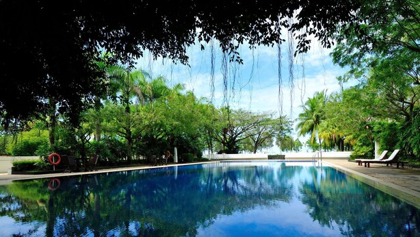Una piscina cristalina rodeada de exuberante follaje y árboles.