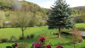 Un paisaje verde exuberante con un árbol conífero destacado y plantas en flor en primer plano.