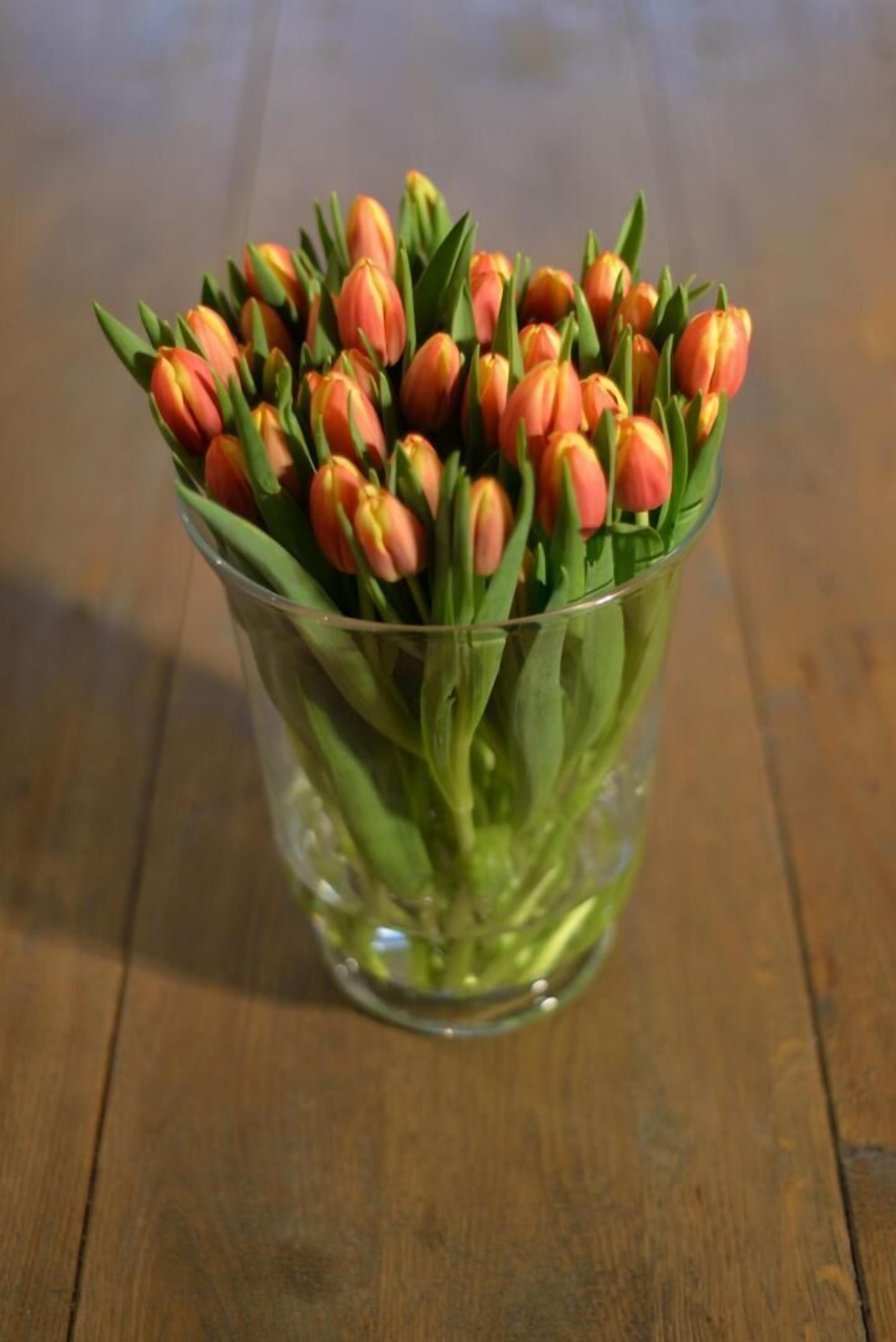 international cuisine