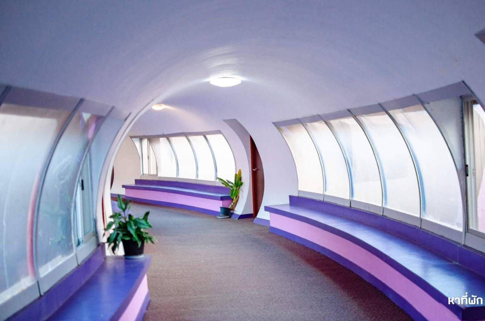 DNA Super Ozone Resort KhaoYai