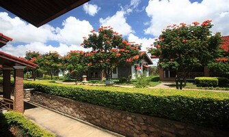 Un patio con muro de piedra, un sendero y árboles con flores rojas.