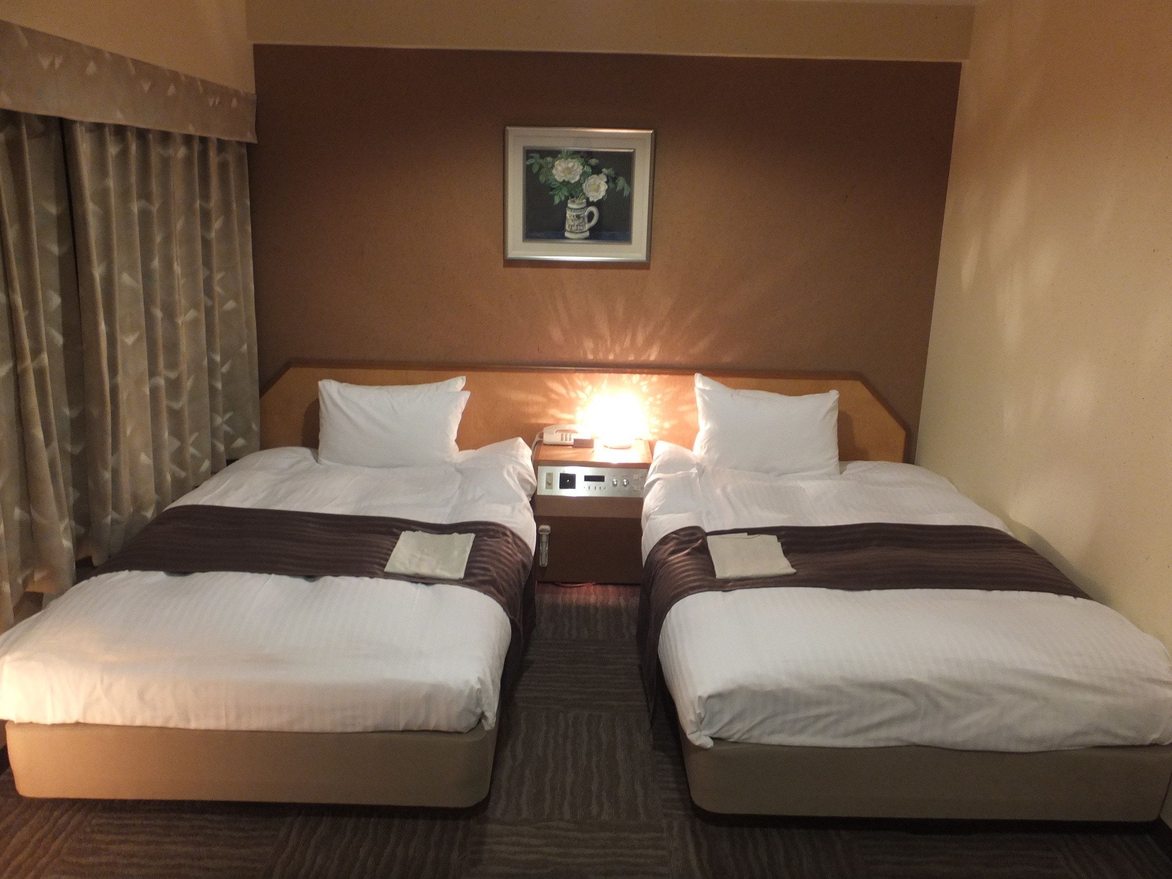 Desk, blackout drapes, iron/ironing board, free WiFi