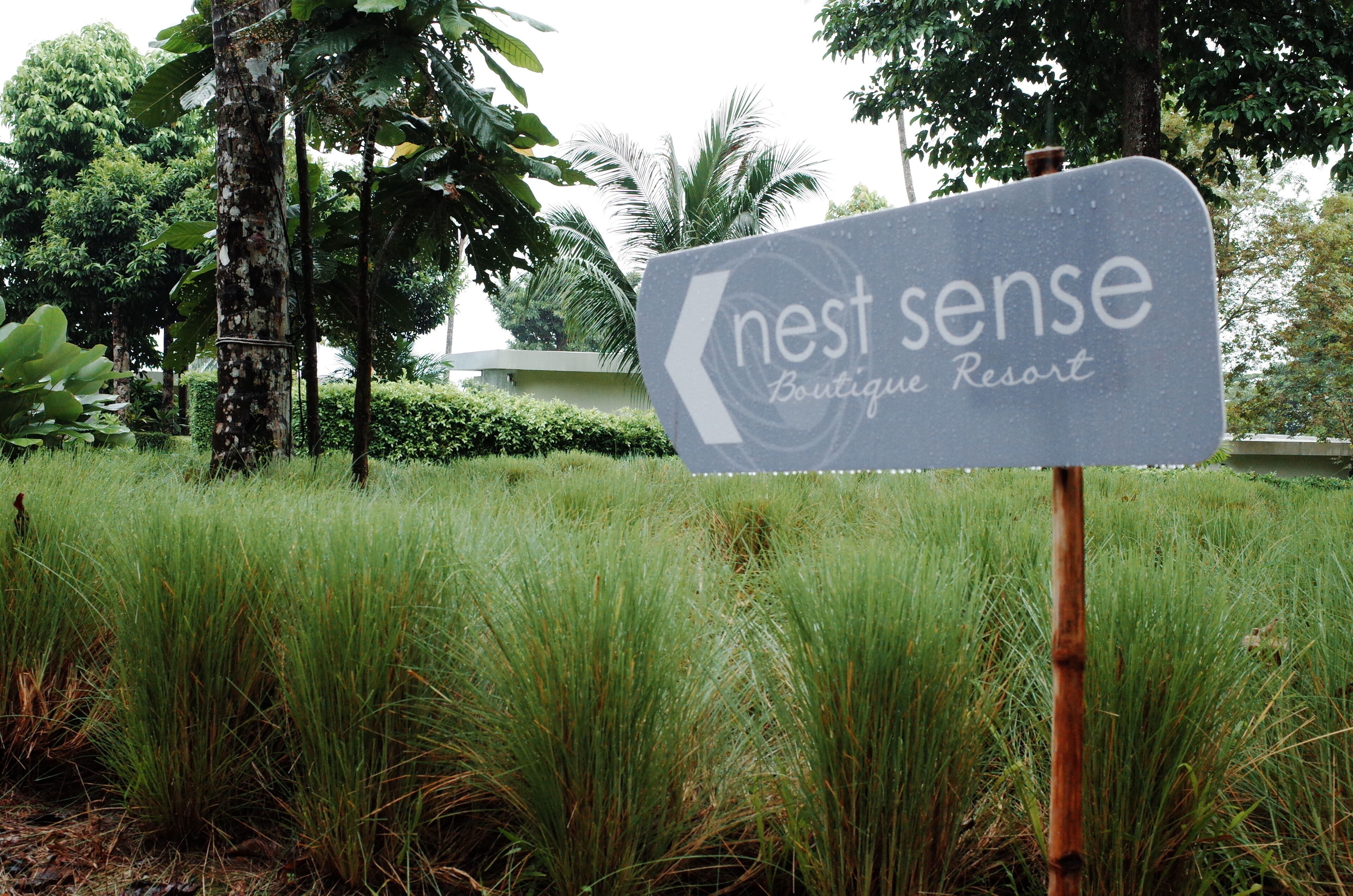 Un letrero de 'nest sense Boutique Resort' en un exuberante jardín.