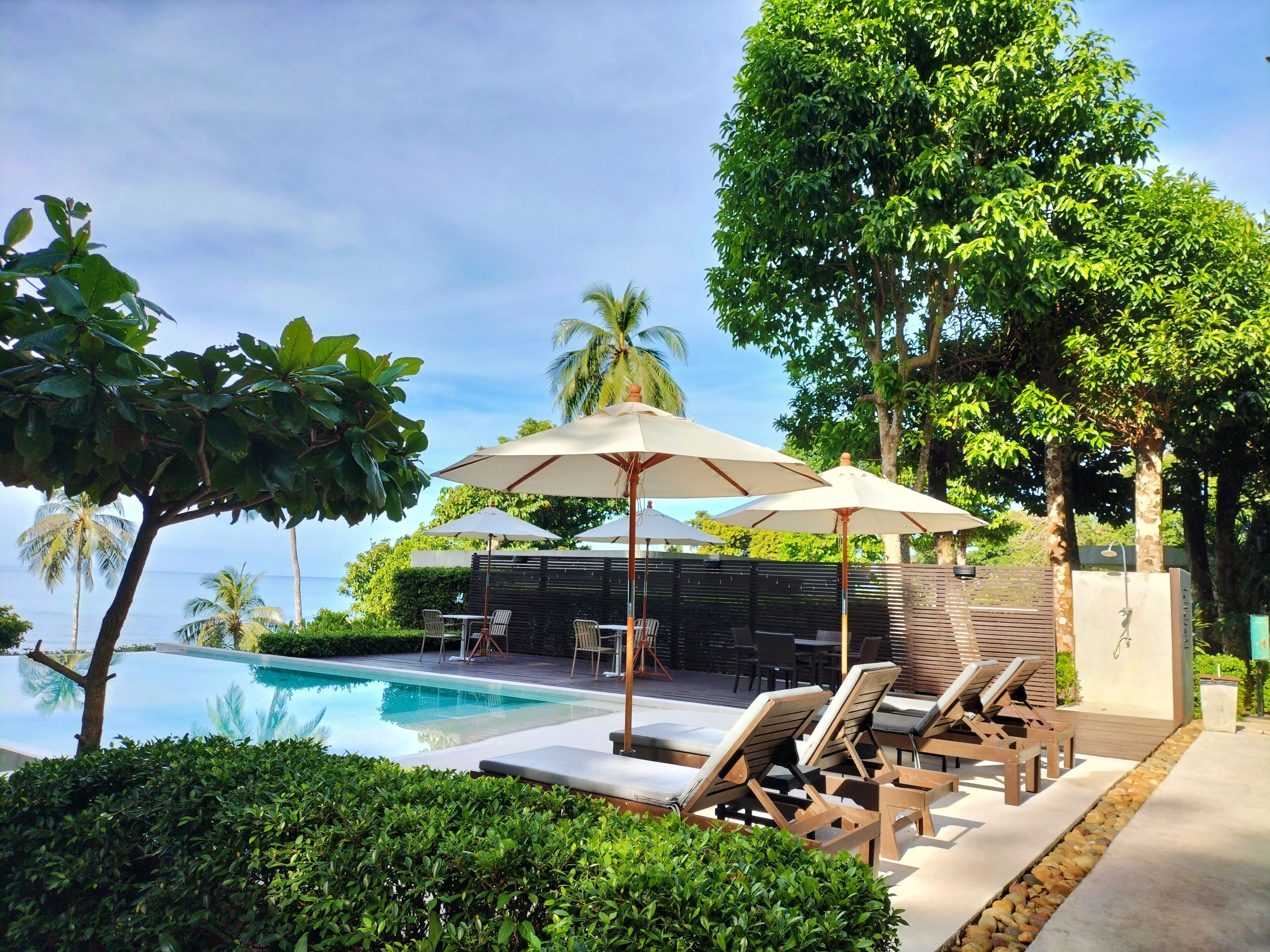 Un espace aménagé au bord de la piscine, avec des chaises longues et des parasols, entouré d’une végétation luxuriante et d’arbres.