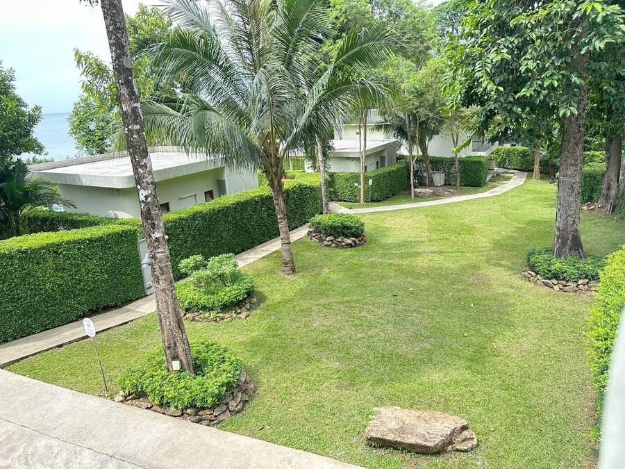 A well-maintained garden with neatly trimmed hedges, palm trees, and a stone pathway leading to a building.