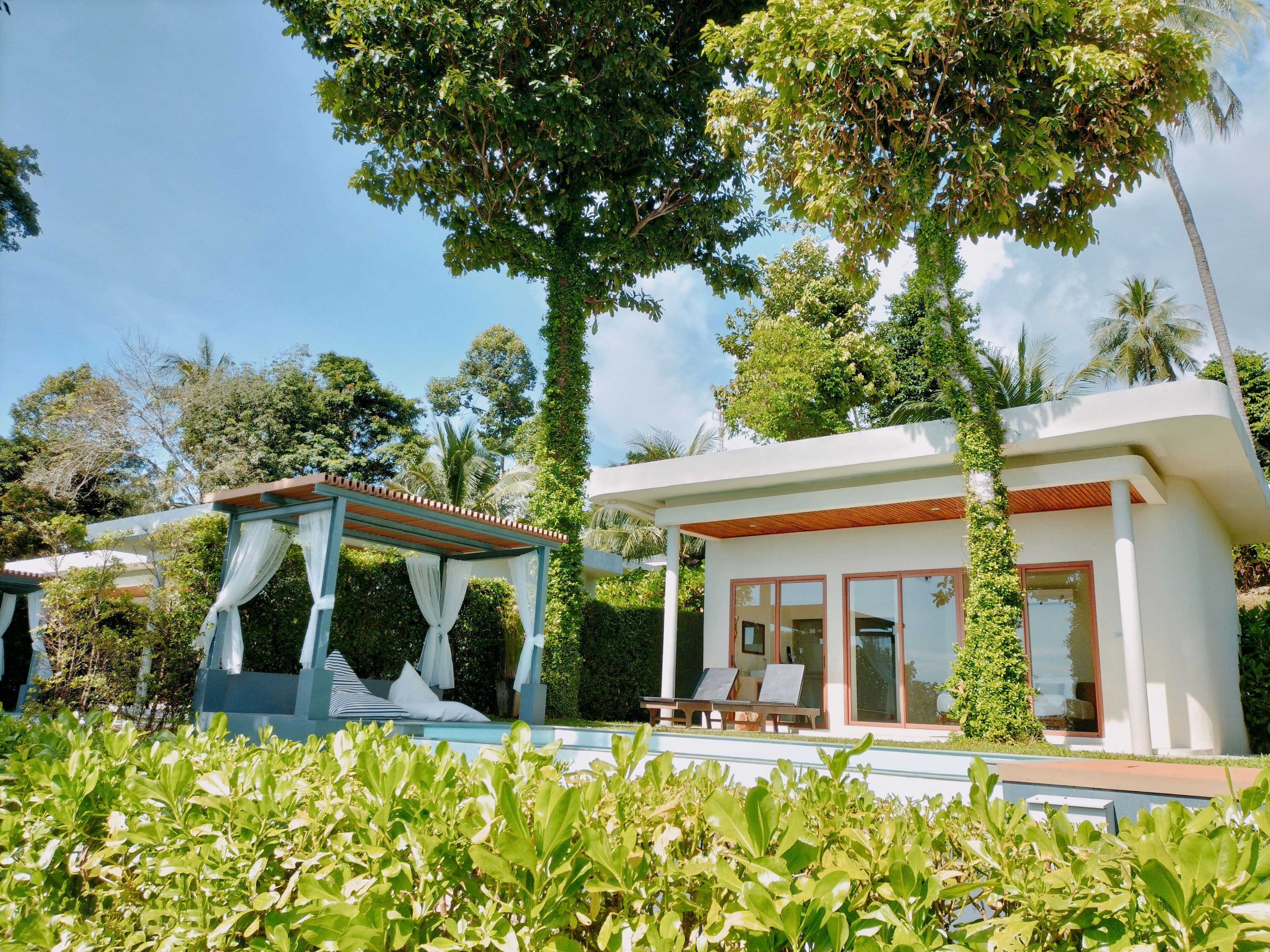 Una villa moderna con piscina, un área de estar cubierta y abundante vegetación.