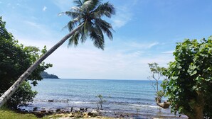 Une plage avec un palmier, une eau d’un bleu limpide et une île qui se dessine à l’horizon.