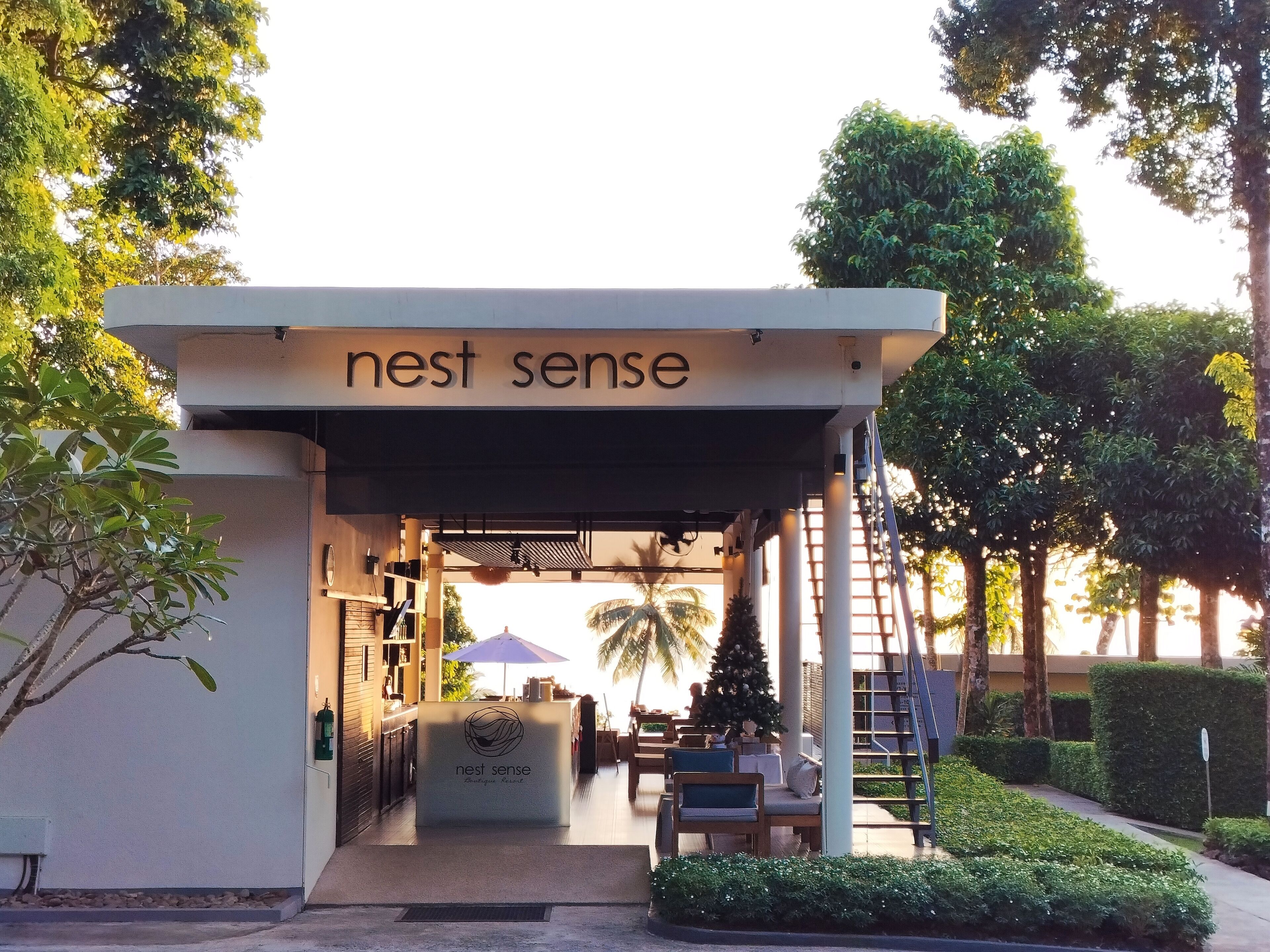 The entrance to Nest Sense, featuring a covered outdoor seating area with a Christmas tree and a staircase.