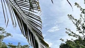 A playground with slides and climbing structures, surrounded by greenery and a small building.