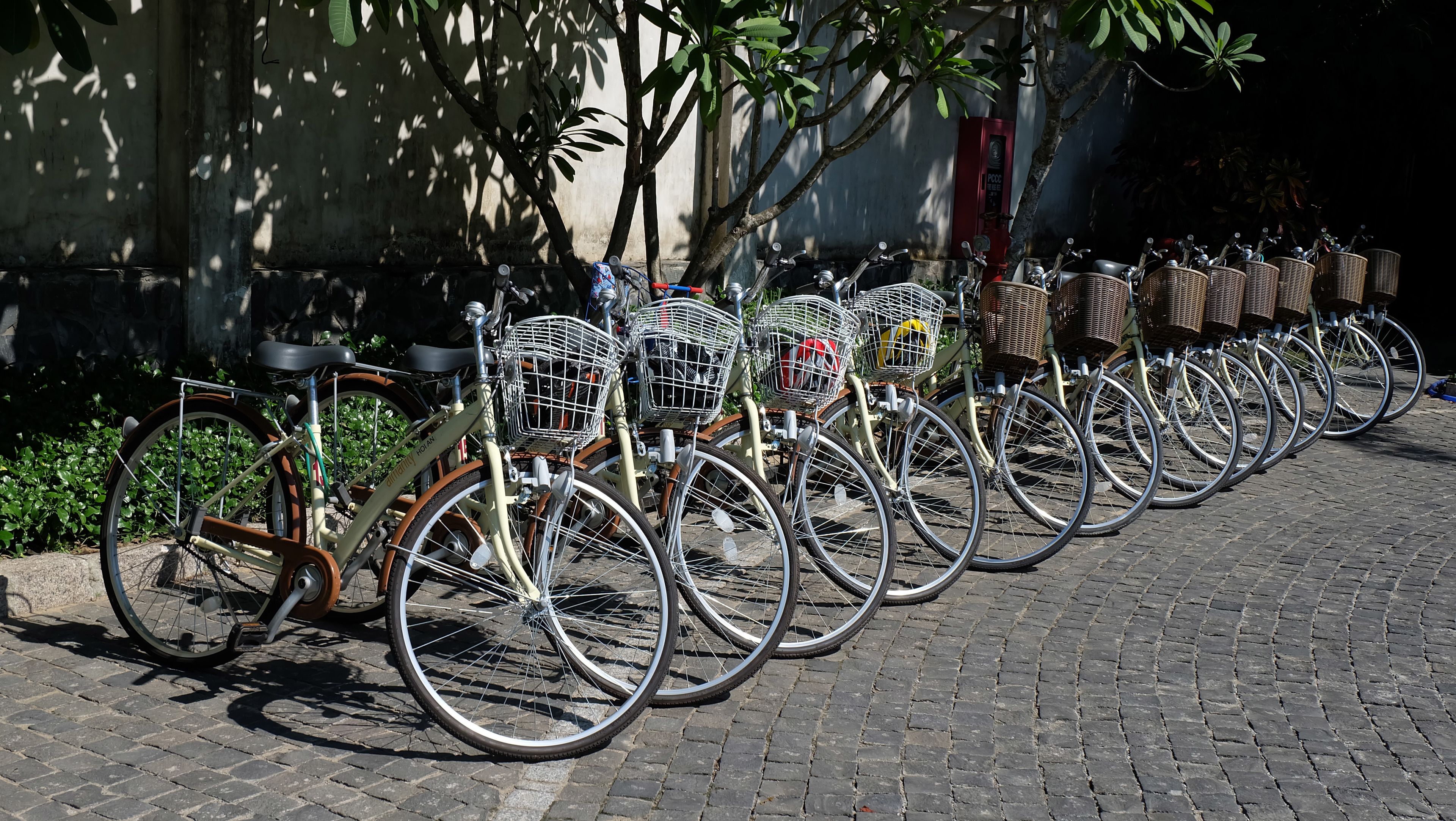 Une rangée de vélos est garée sur une rue pavée, chacun étant muni d’un panier fixé à l’avant.