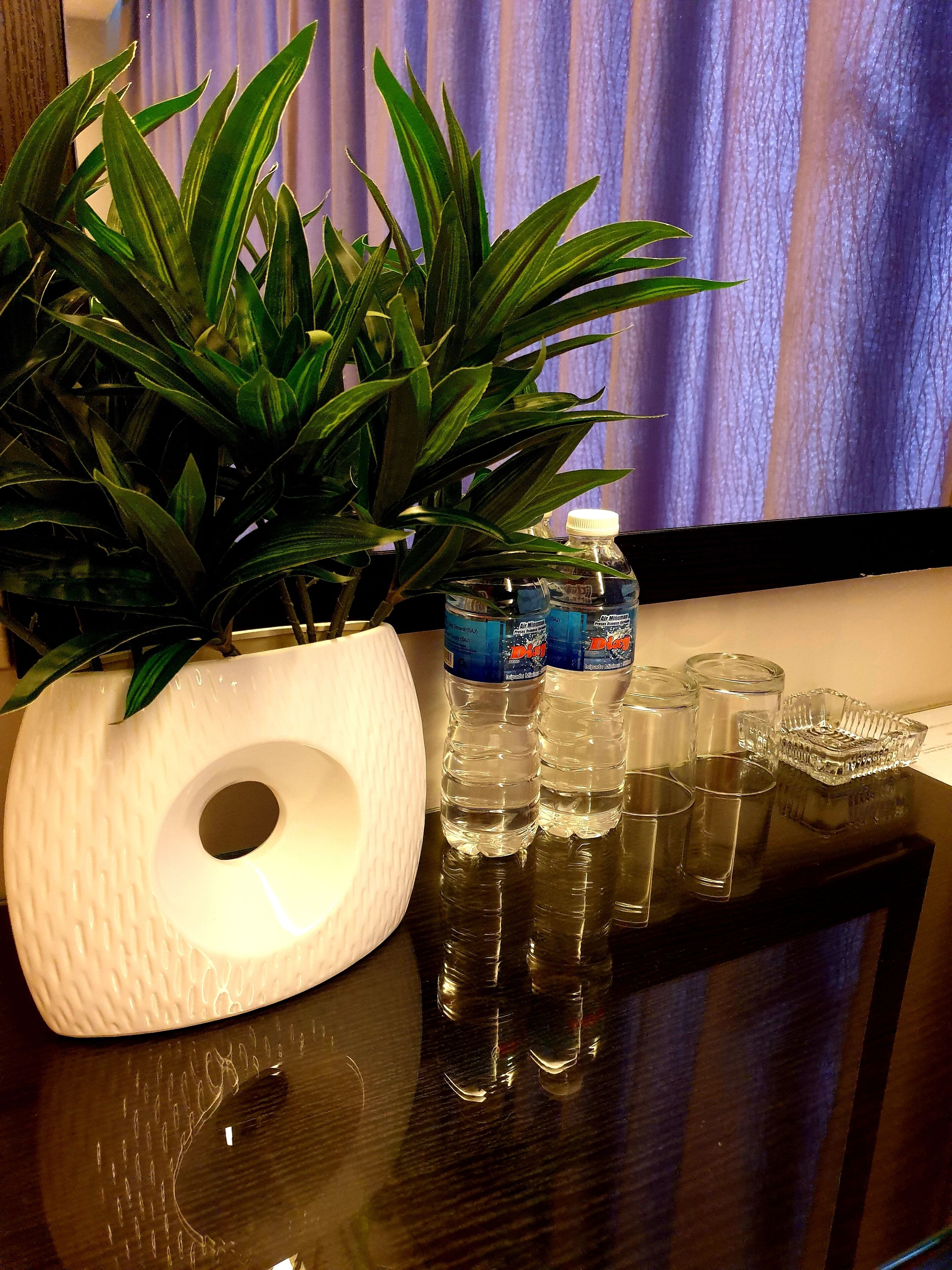 Un porta-papel blanco con una planta, dos botellas de agua y tres vasos sobre una superficie reflectante.