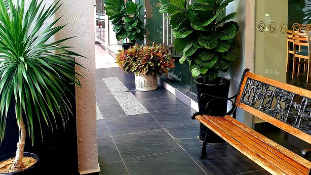 Um corredor com plantas em vasos, um banco e uma porta de vidro.
