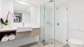 Shower, free toiletries, hair dryer, towels
