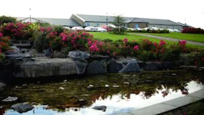 Um lago com flores cor-de-rosa e pedras, rodeado por um edifício com telhado cinzento e um gramado verde.