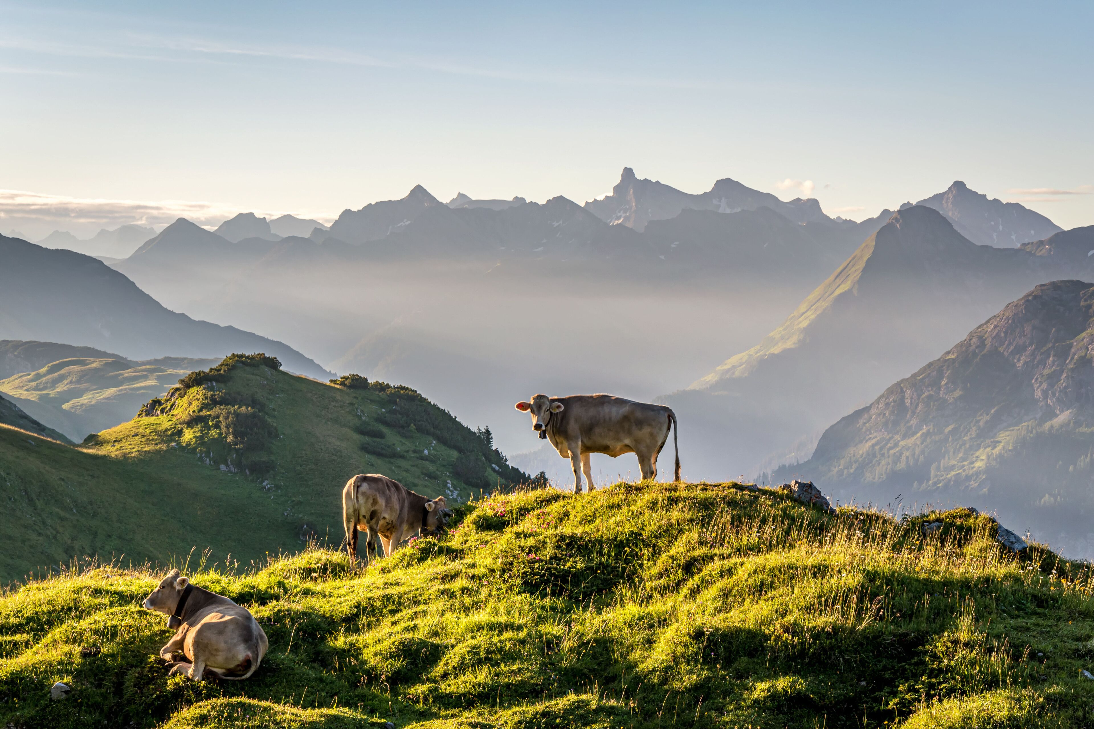 land view from property